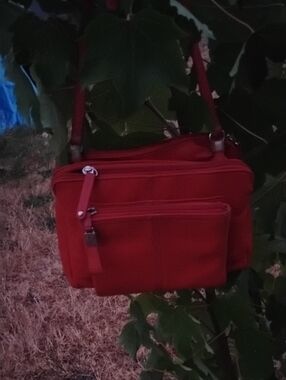 Tignanello Red Crossbody Bag